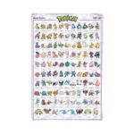 Grand poster Carte de Sinnoh 61 x 91,5 cm