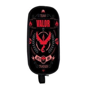 Trousse Pokémon Team Valor Équipe Bravoure